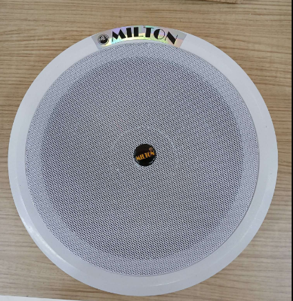 C. SPEAKER 8"