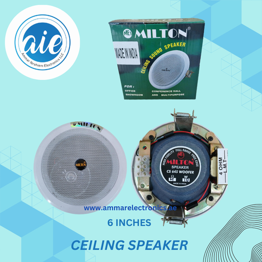 CEILING SPEAKER 6"