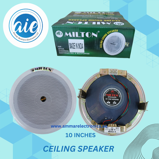 CEILING SPEAKER 10"